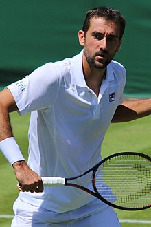 Marin Čilić